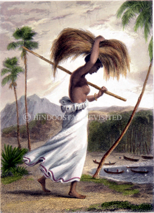 /data/Original Prints/Portraiture, Portraits, Occupations, Trades and Professions, People/A FEMALE PEASANT OF CEYLON.jpg